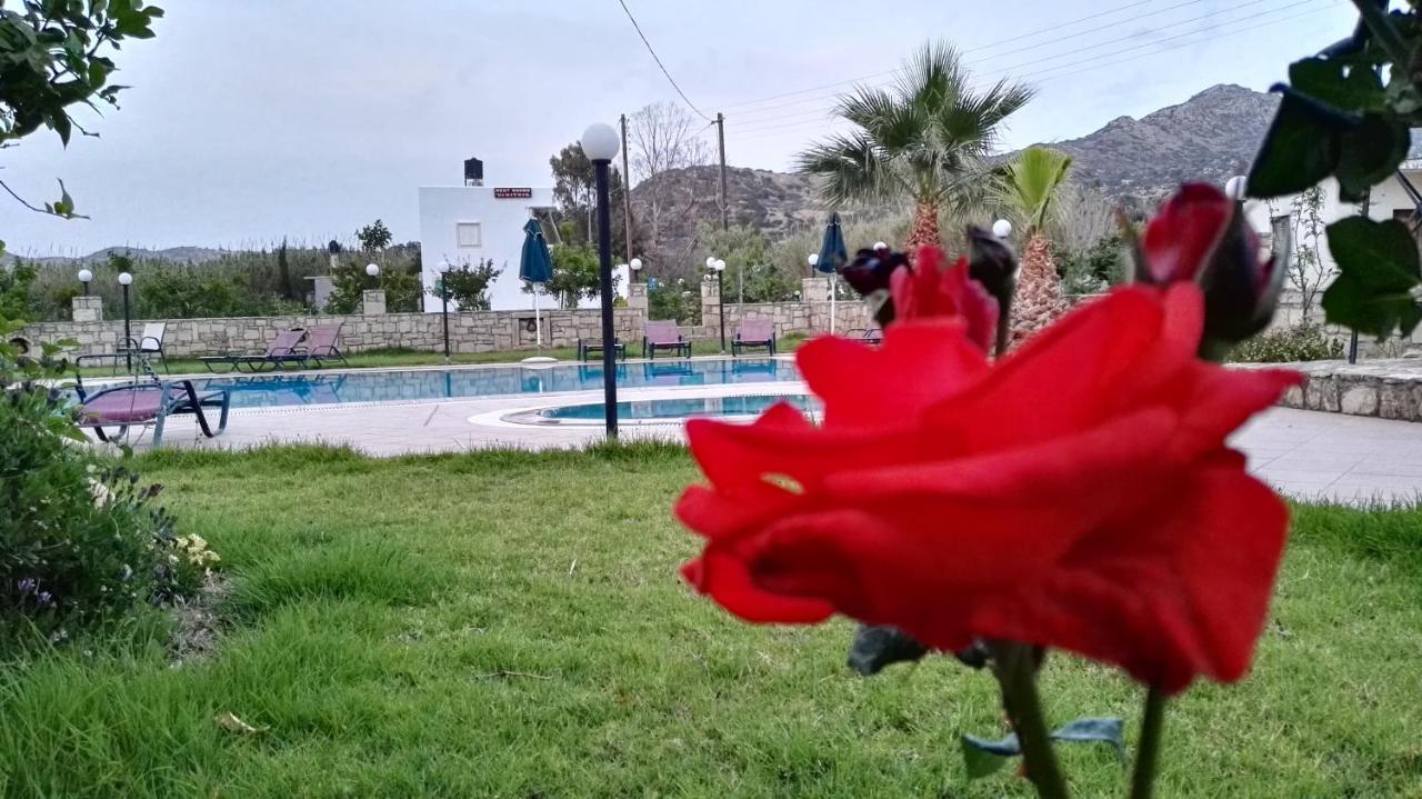 Dimitris Villa Hotel Matala  Bagian luar foto